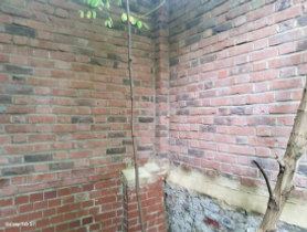 Heritage wall restoration Project image