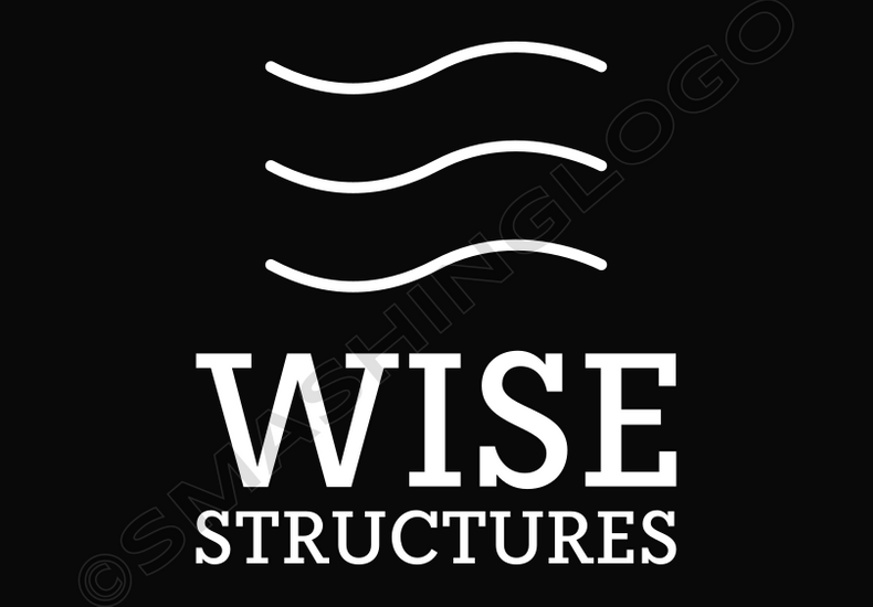 Wise Structures Ltd's featured image