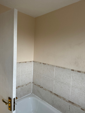 Thetford bathroom renovation Project image