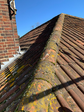 Full Roof Refurb Project image