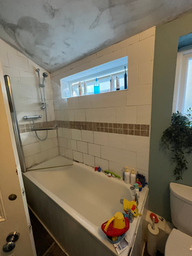 Dump issues and unventilated bathroom renovation  Project image