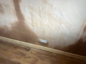 Damp Remediation and Wall Restoration – Buxton  Project image