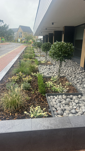 Landscaping, Holiday Inn, Reading Project image