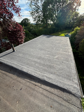 New felt flat roof Project image