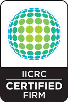 MGISD Ltd. have Qualified and Certified IICRC Staff Member Project image