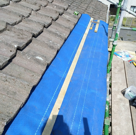 Roof Renovation  Project image