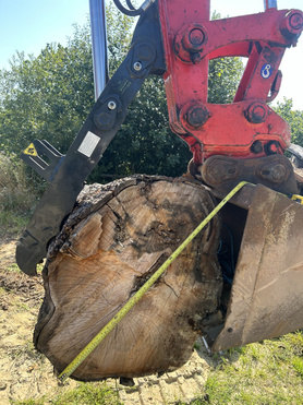 Excavator with grab/thumb clearance works Project image