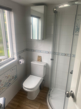 En-suite Renovation Project image