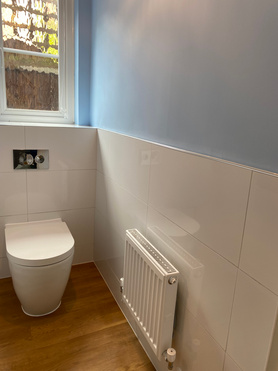 Bathroom and Separate toilet Renovation Project image