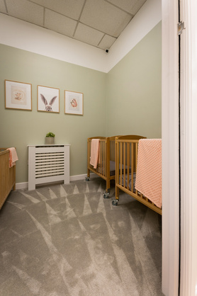 Nursery Renovation  Project image