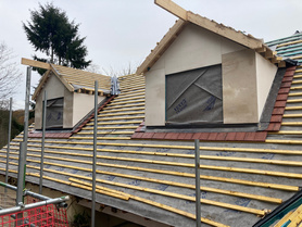 Roof and dormers Project image