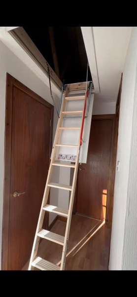 Loft ladder Project image