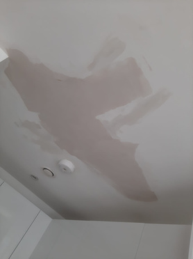 Damp ceiling  Project image