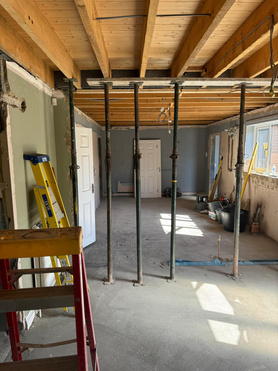 Kitchen, dining room renovation including utility room and downstairs toilet  Project image