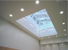 Conference Room Conversion Including Skylight  Project image