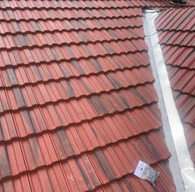 Re Roof Project image