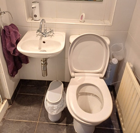 Bathroom makeover Project image