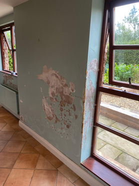 Penetrating damp Project image