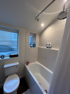 Dump issues and unventilated bathroom renovation  Project image